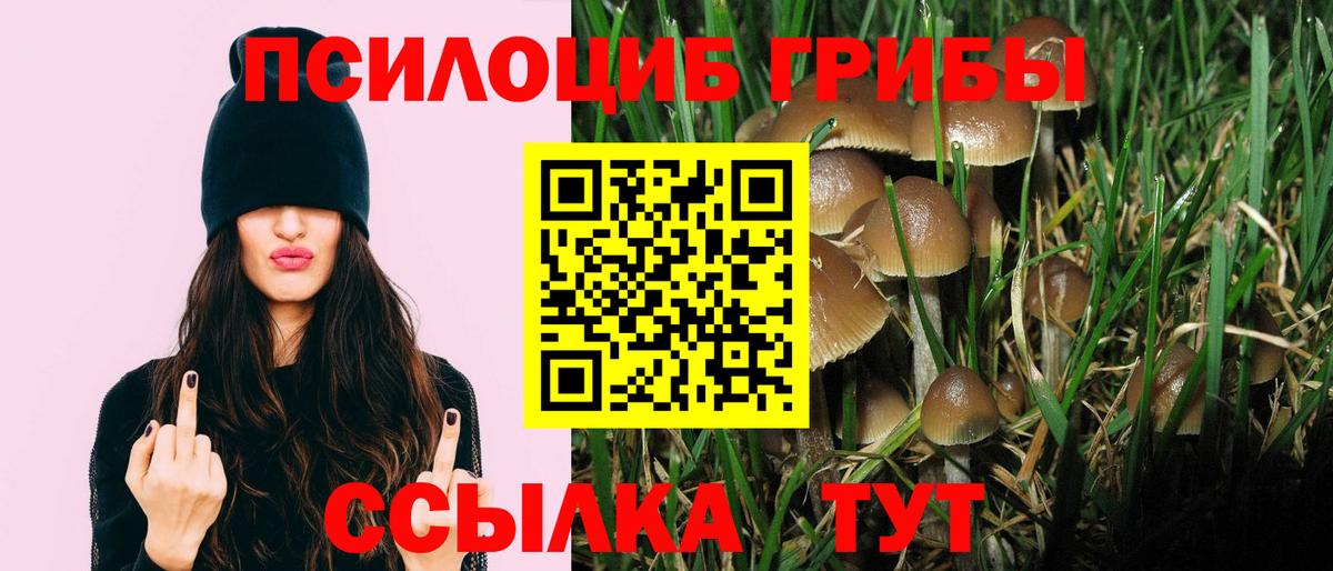 наркота  Галлюциногенные грибы прущие грибы  Вход с VPN  Чапаевск  Псилоцибиновые грибы MAGIC MUSHROOMS 